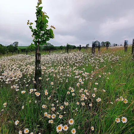 L'ecrin Opaline - Refuge Familial & Nature